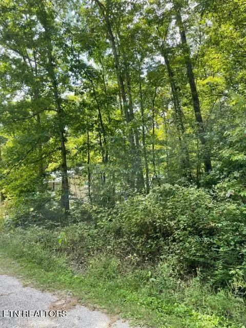 107 OLA CIR, Crossville, TN 38572 Land For Sale  MLS# 1239965 for Rent