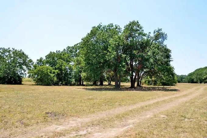 TBD 155 FM 1227, Navasota, TX 77868 for Sale