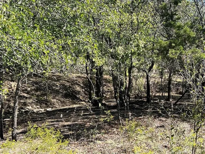509 County Road 432, Jonesboro, TX 76538 for Sale
