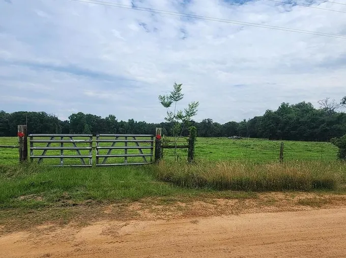 Tbd Cr 2263, Grapeland, TX 75844 - MLS 58437663 for Sale