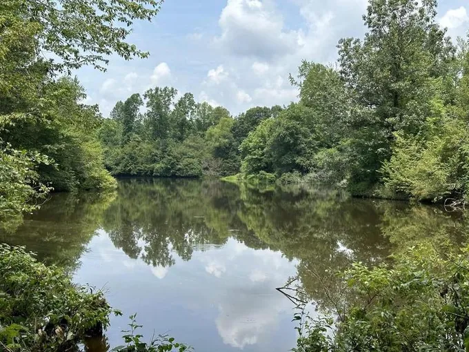 Haleyville, Winston County, AL Farms and Ranches, Recreational Property, Hunting Property for sale Property ID: 416345478