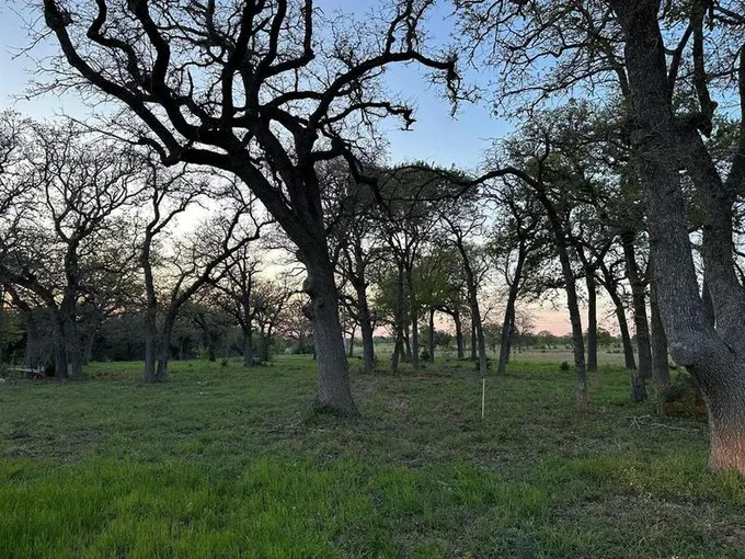 TBD Lot 1 Nink Rd, Smithville, TX 78957 for Sale