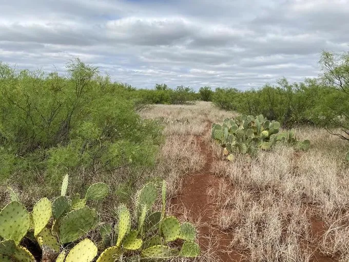 West I-20 S Service Rd, Westbrook, TX 79565 for Sale