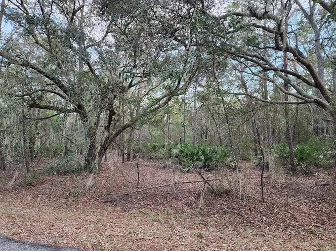 Fisher Run Course Course, Ocklawaha, FL 32179 - MLS OM670673 for Sale