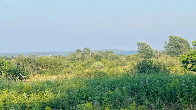 204 COUNTY RD, Lubec, ME 04652 Land For Sale  MLS# 1566993