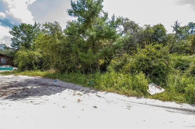 Umatilla, Marion County, FL Undeveloped Land, Homesites for sale Property ID: 411468322