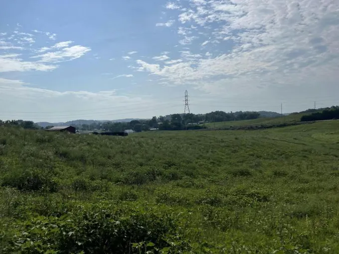 1470 ANDREW JOHNSON HIGHWAY, Greeneville, TN 37743 Land For Sale  MLS# 9956044