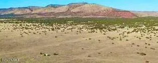 53284 Arroyo Dr, Seligman, AZ 86337 - MLS 194043 for Sale