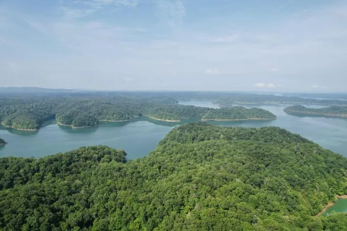 Monticello, Wayne County, KY Undeveloped Land for sale Property ID: 416951570