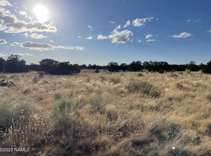 882 S Gln Spg Ln, Williams, AZ 86046 - MLS 195103 for Sale