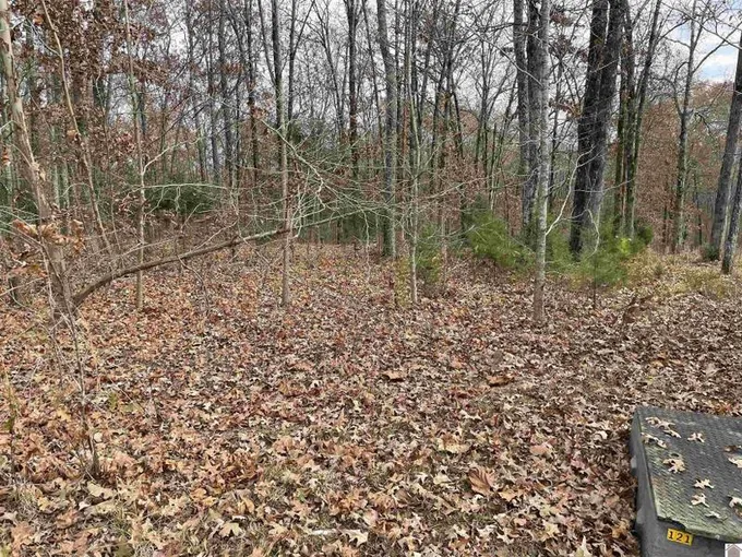 Murray, Calloway County, KY Undeveloped Land, Homesites for sale Property ID: 418290018