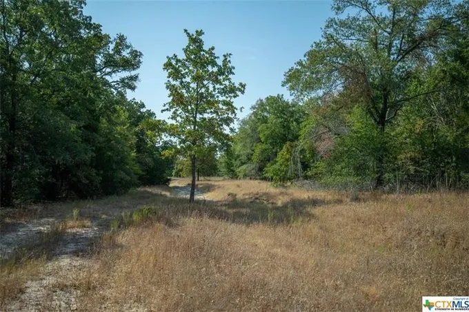 TBD S Tidwell Prairie Road, Calvert, TX 77837 for Sale
