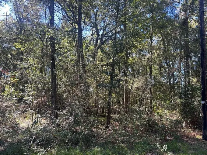 30 Meyer Rd, Huffman, TX 77336 for Sale