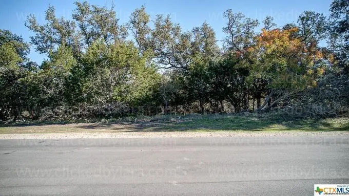 346 Hidden Pointe, New Braunfels, TX 78132 for Sale
