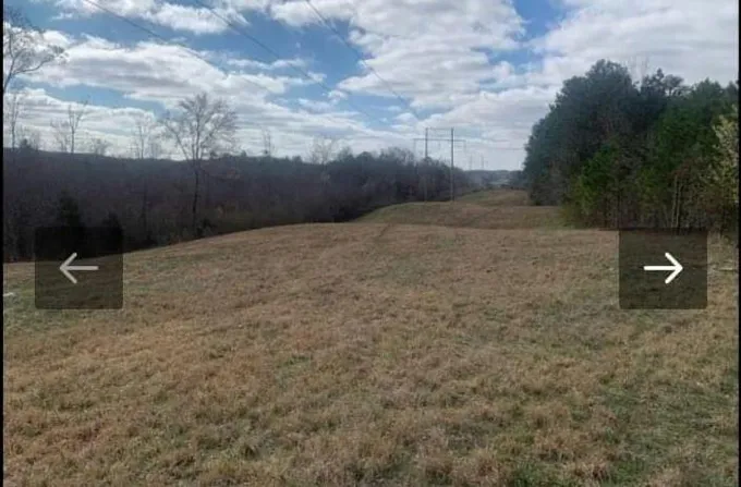 0 RIDGE RD, Savannah, TN 38372 Land For Sale  MLS# 2601859