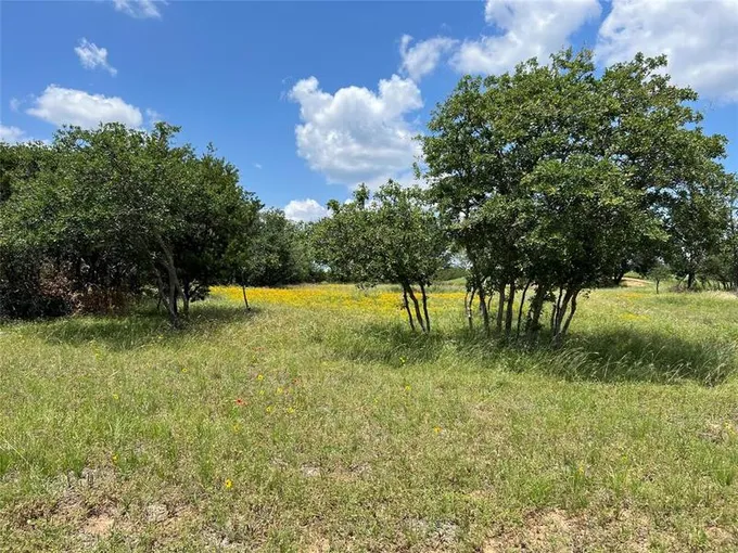 Lot 88 Colonial Dr, Possum Kingdom Lake, TX 76449 for Sale