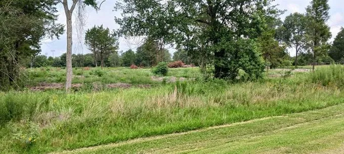 000 1ST STREET, Hempstead, TX 77445 Land For Sale  MLS# 21464330