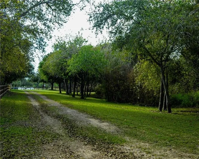 14866 County Road 1876, Odem, TX 78370 for Sale