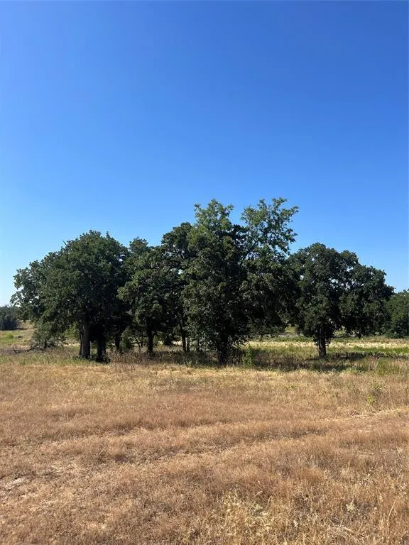 Lot 74 Kilkenny Rd, Poolville, TX 76487 for Sale