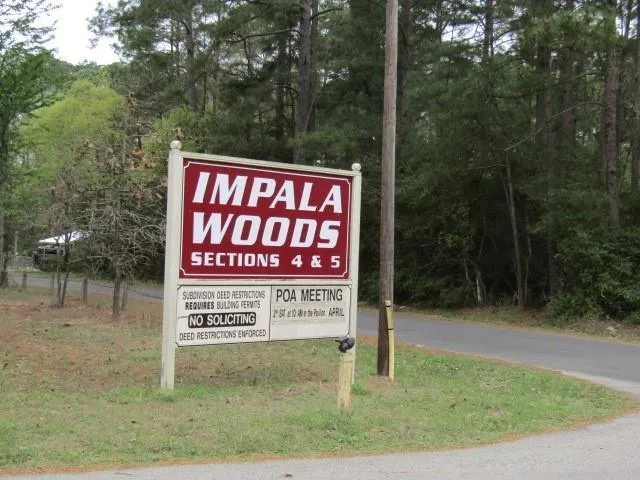 Lot 22 Gnu St, Onalaska, TX 77360 for Sale