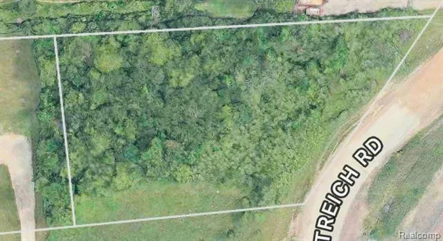 0 WOODRUFF RD ROAD, Brownstown, MI 48173 Land For Sale  MLS# 20230036047