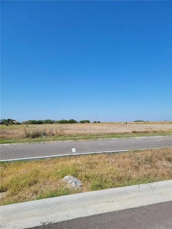 3541 Sahar Lake Dr, Robstown, TX 78380 for Sale