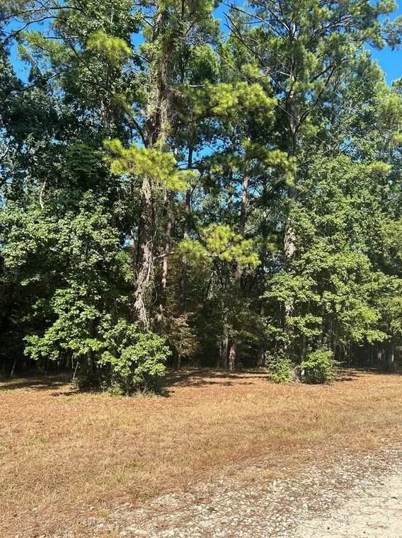 575859 Grand Pine Circle, Livingston, TX 77351 - MLS 18402339 for Sale