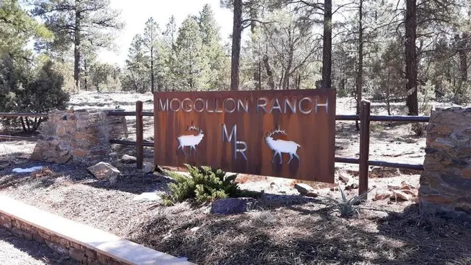 Happy Jack, Coconino County, AZ Undeveloped Land for sale Property ID: 418549355