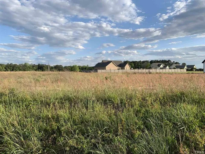 Bailey, Nash County, NC Undeveloped Land, Homesites for sale Property ID: 416639175