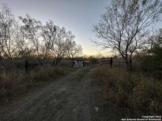 Christine, Atascosa County, TX Undeveloped Land for sale Property ID: 415494098