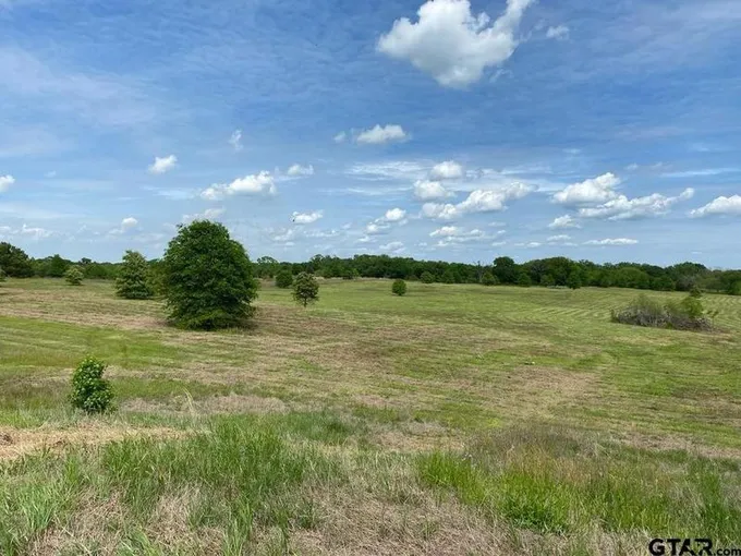 CR 2214, Pittsburg, TX 75686 for Sale