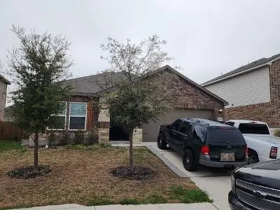 Bending Tree for Sale