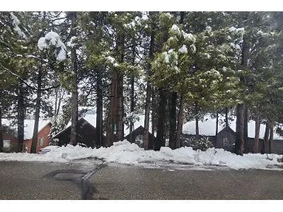 Forest Meadows Dr for Sale