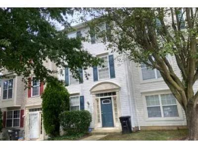 English Chestnut Dr for Sale