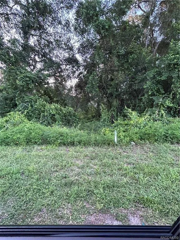 Floral City, Citrus County, FL Undeveloped Land, Homesites for sale Property ID: 417139664