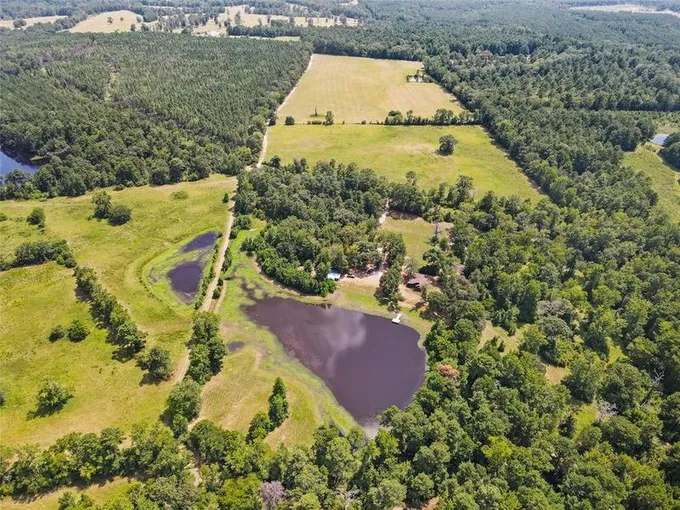 5462 HWY 287, Groveton, TX 75845 for Sale