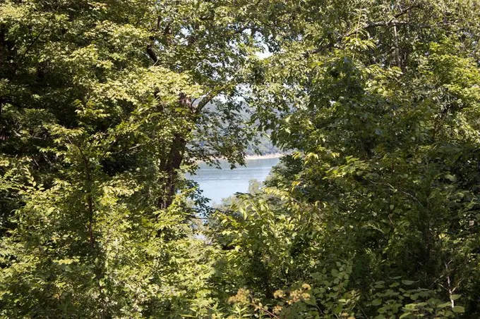 Monticello, Wayne County, KY Undeveloped Land, Homesites for sale Property ID: 416477792
