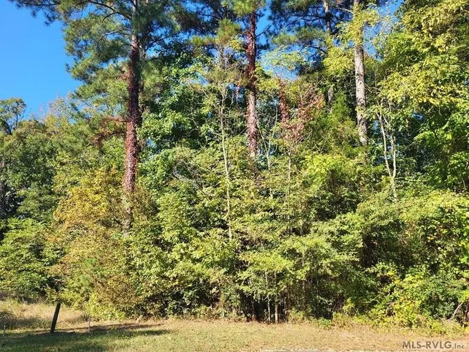Bracey, Mecklenburg County, VA Undeveloped Land, Homesites for sale Property ID: 417990500