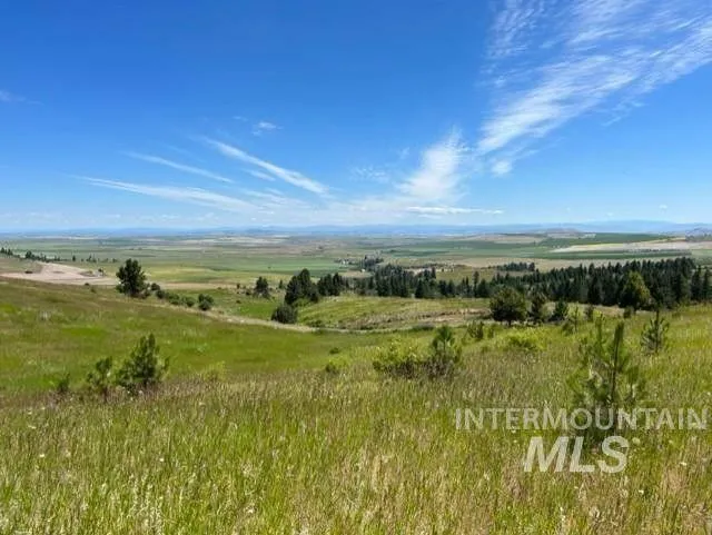 Cottonwood, Idaho County, ID Undeveloped Land for sale Property ID: 416944130