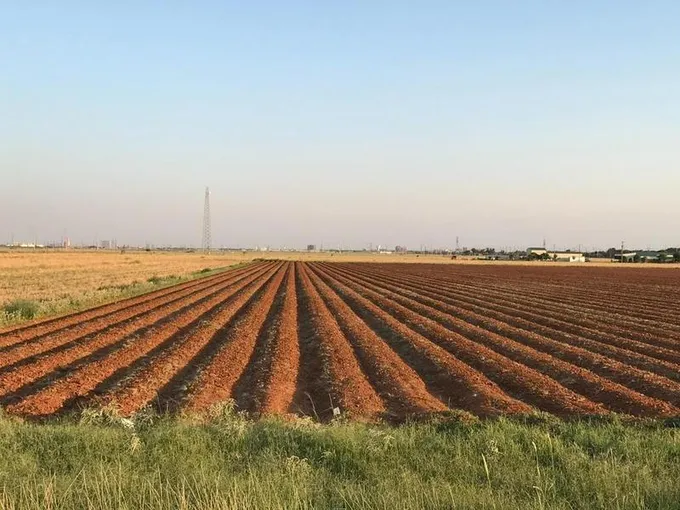 Address not Available, Lubbock, TX 79415 for Sale