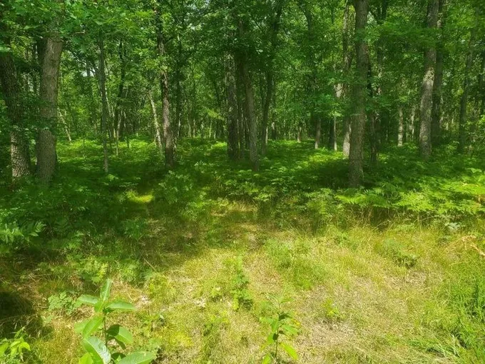 Idlewild, Lake County, MI Homesites for sale Property ID: 414301047