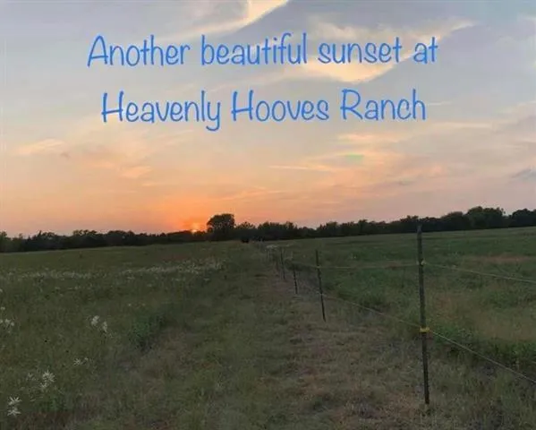 18897 JOHNSON LN, Farmersville, TX 75442 Land For Sale  MLS# 20185489