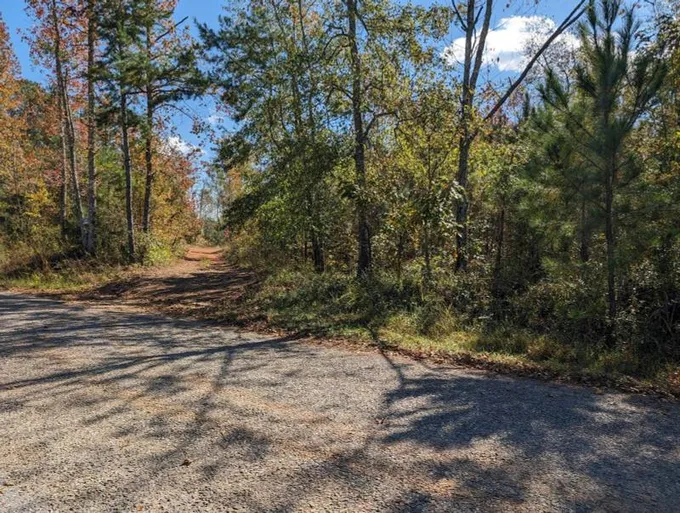 Wedowee, Randolph County, AL Undeveloped Land, Homesites for sale Property ID: 418325150