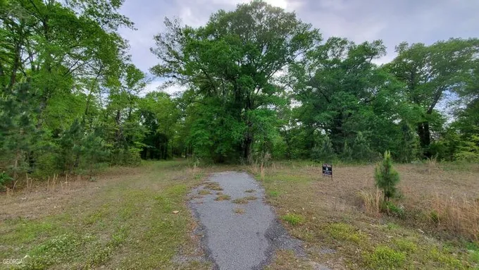 Rentz, Laurens County, GA Undeveloped Land for sale Property ID: 416525905