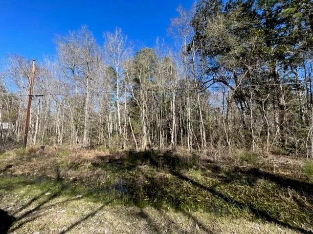 998 Presley Lane, Shepherd, TX 77371 for Sale
