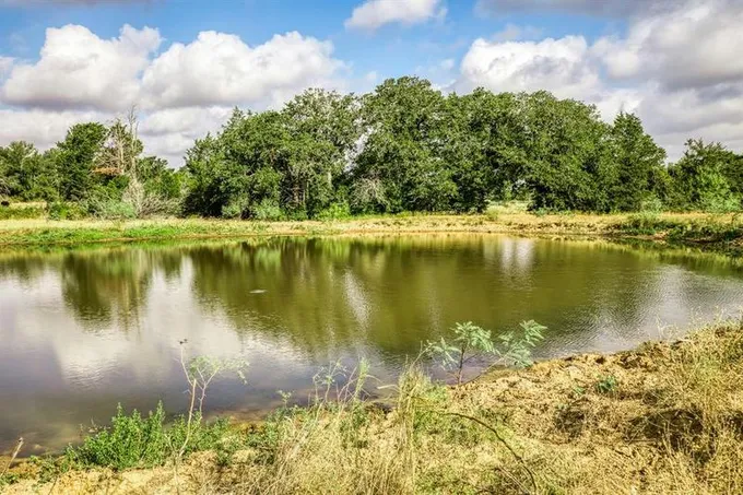 3266 COUNTY ROAD 163, Caldwell, TX 77836 Farm For Sale  MLS# 37465259