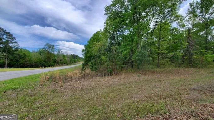 Rentz, Laurens County, GA Undeveloped Land for sale Property ID: 416525908