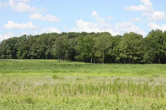 9 TRICE RD, Henderson, TN 38340 Land For Sale  MLS# 202814