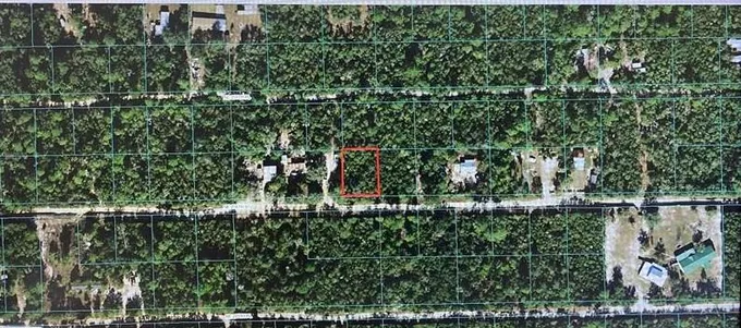 00 NE 236th St, Fort Mc Coy, FL 32134 - MLS OM642877 for Sale