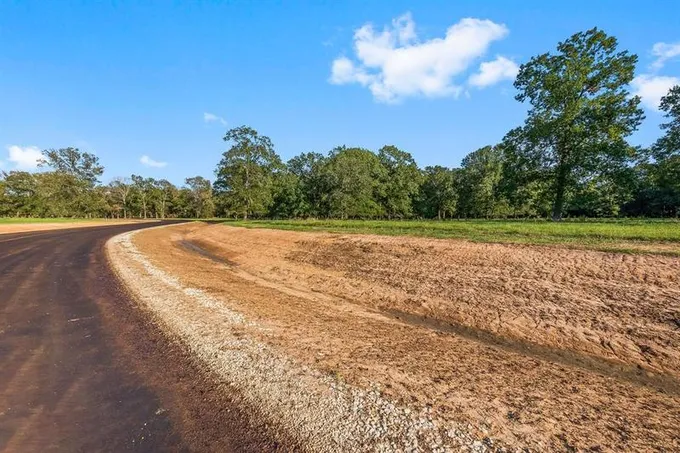 Lot 12 Alans Memorial Lane, New Waverly, TX 77358 for Sale